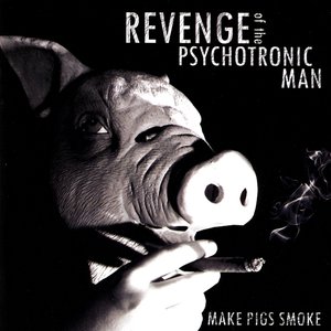 “Make Pigs Smoke”的封面