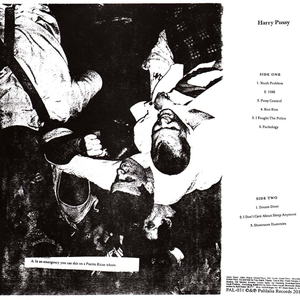 Harry Pussy cover