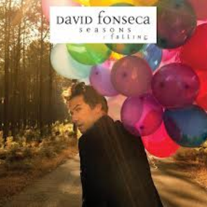 David Fonseca - Seasons Falling - Zortam Music
