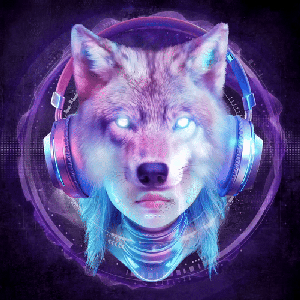 XDM Unidentified Waves