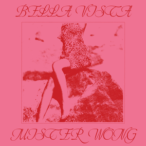 Artwork for Mister Wong (Jura Soundsystem Extended Edit)