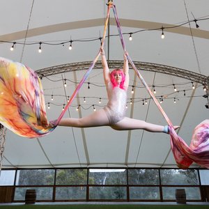 Avatar for Honey Boom