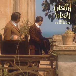 ÇOKSA VER YOKSA AL