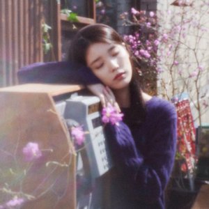 IU 的头像