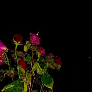 Careless - EP