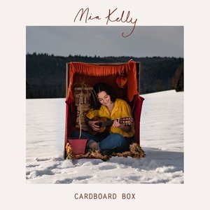 Cardboard Box