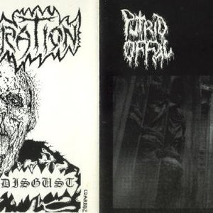 “Premature Necropsy - Infernal Disgust -split”的封面