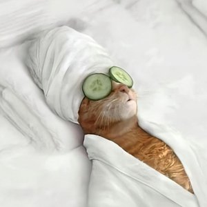 im chill