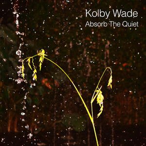 Absorb The Quiet