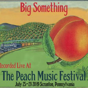Big Something - Live At The 2019 Peach Music Festival