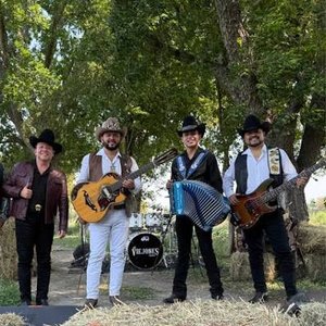 Los Viejones de Linares 的头像