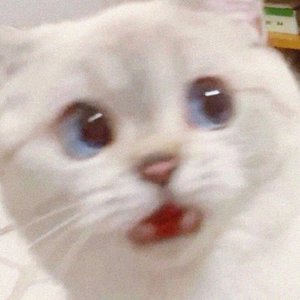 Don't Talk to Me - Single