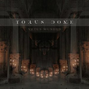 Torus Dome のアバター