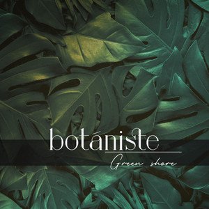 Green Shore - Single