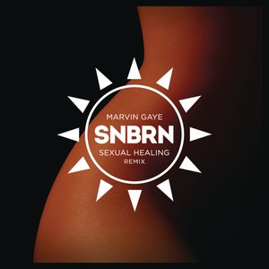 Sexual Healing (SNBRN Remix)