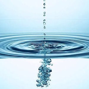 Avatar for CUEPEEDOG