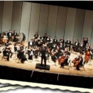 Avatar di Light Music Society Orchestra