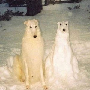 piss borzoi and the sentient snow dog