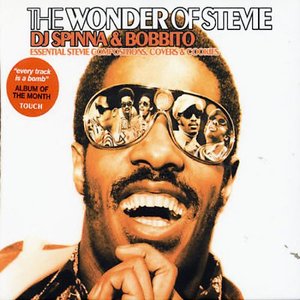 The Wonder of Stevie (Essential Stevie Compositions, Covers & Cookies)