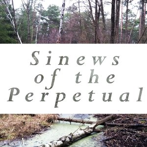 Sinews of the Perpetual