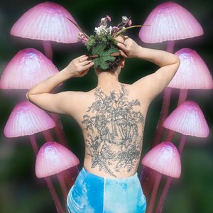 Walk Through the Woods - Single