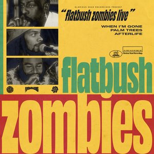 Flatbush Zombies Live - 8/13/20 - Los Angeles, CA - Single