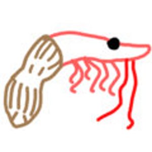 Shrimplenuts 的头像