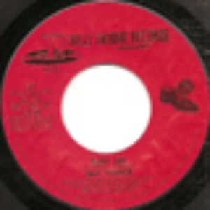 Nat Turner photo provided by Last.fm