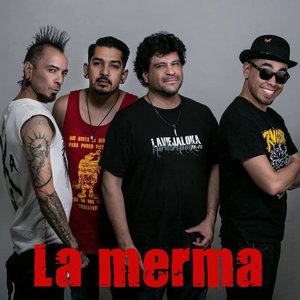 Bild för 'La Merma'