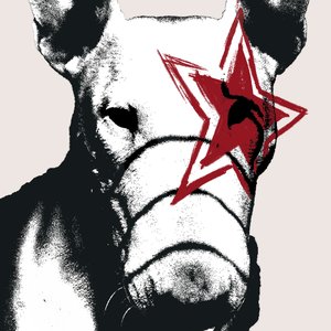 ...Or Forever Hold Your Peace - EP