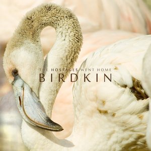Birdkin