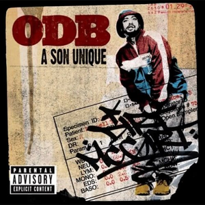 A Son Unique cover