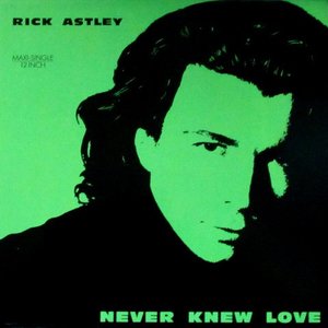 Never Knew Love