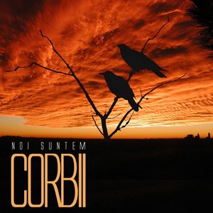 Corbii 的头像