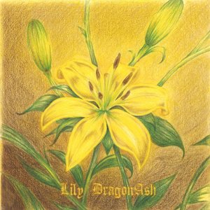 Lily - Single