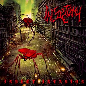 Insect Invasion