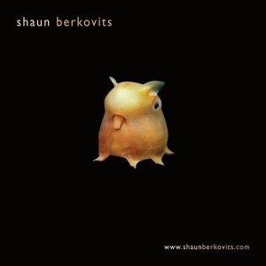 shaun berkovits