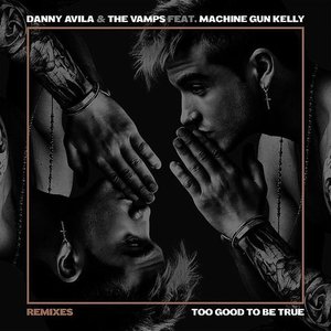 Too Good to Be True (feat. Machine Gun Kelly) [Remixes] - Single