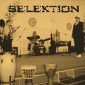 “Selektion”的封面