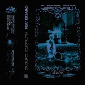 Mutilated Systems