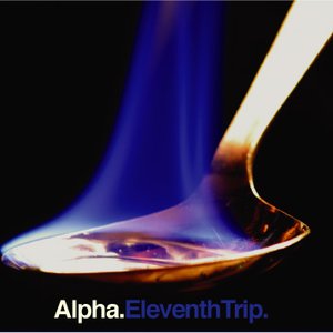 Eleventh Trip