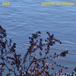 403
