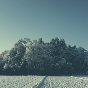 Log 4