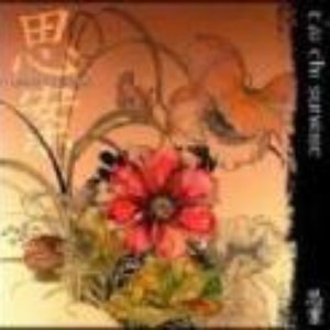 Boko Susuki-Tai Chi Sunrise 的头像
