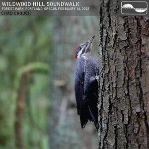 Wildwood Hill Soundwalk
