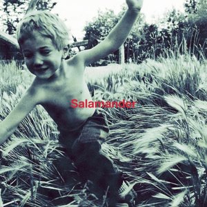 Salamander - Single