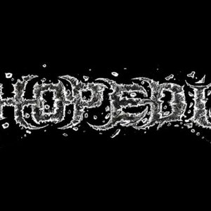 Lithopedion 的头像