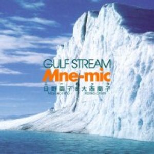MNE - MIC 的头像