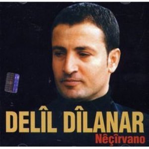 Delîl Dîlanar için avatar