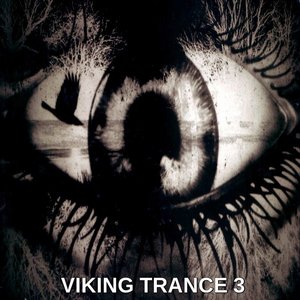 “Viking Trance 3”的封面